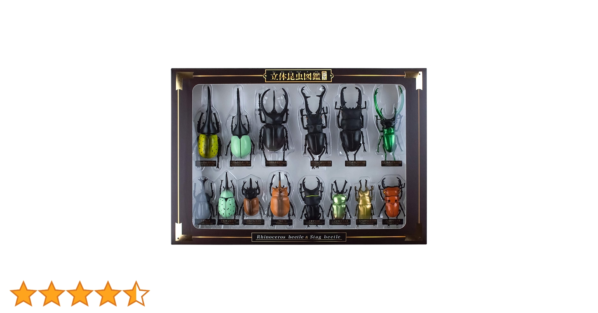 Amazon.co.jp: ザ・アクセス 立体昆虫図鑑DX カブトムシ